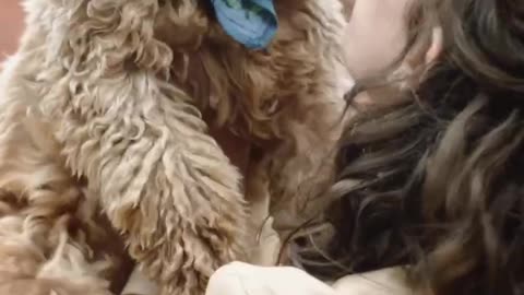 Funny and cute dog 🐕