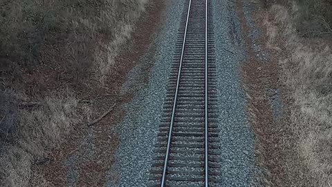 Deer barely make it in front of train