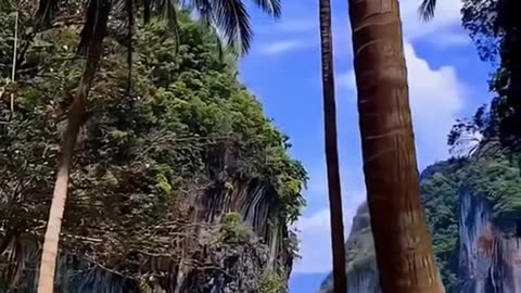 #Useful#Beautiful#Funny #Funny video#laugh# interesting#video#short video#short#short cut