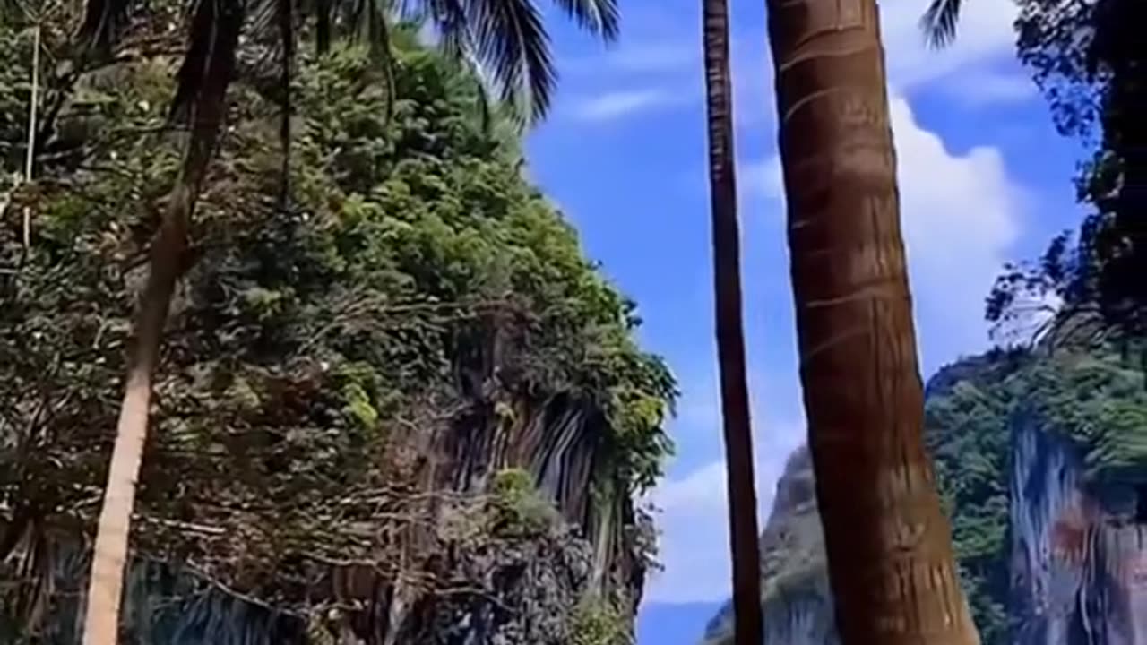 #Useful#Beautiful#Funny #Funny video#laugh# interesting#video#short video#short#short cut