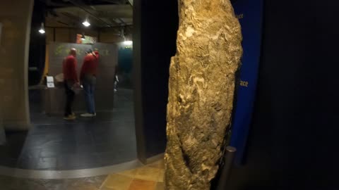 Geology and volcanic exhibition. Natural history Museum. London 7th Nov 2022