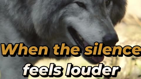 When the silence feels louder than words...