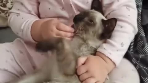 Cute Funny Baby Shorts🥰😁❤️‍🩹❤️