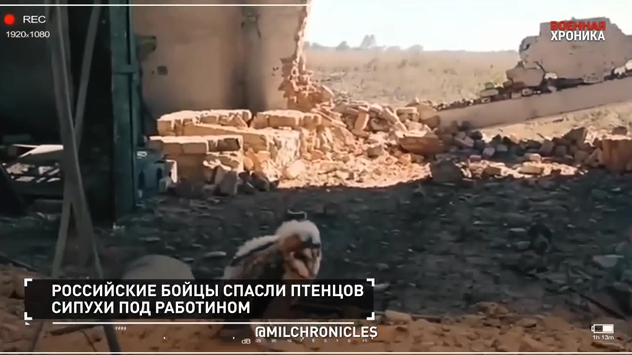 Special Military Operation. Day 2023-09-23