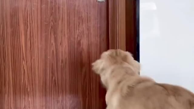 Who asked you to change the WIFI password