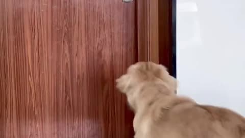 Who asked you to change the WIFI password