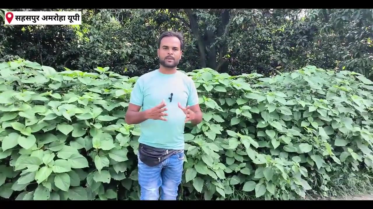MOHAMMED SHAMI