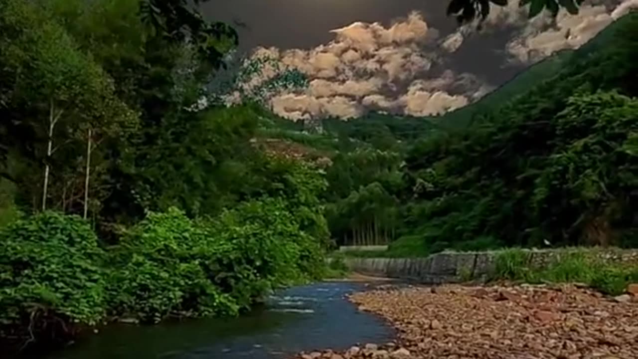 Nature lover