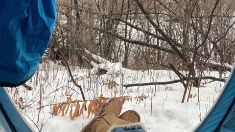 SnowDays 🏕️👍