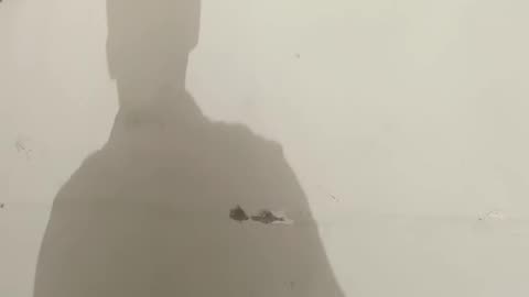 So high By Sidhu Moose Wala