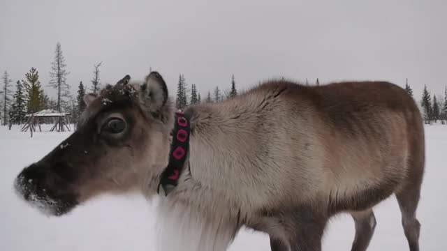 So cute and skittish