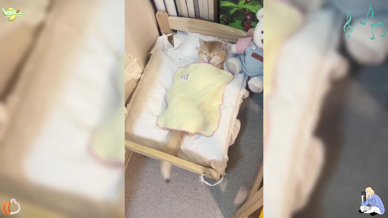 Is the kitten cute? I have two