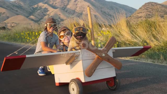 Two Boys Flying In Toy Airplane With Pet Dog Stock Video