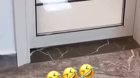 He is very funny