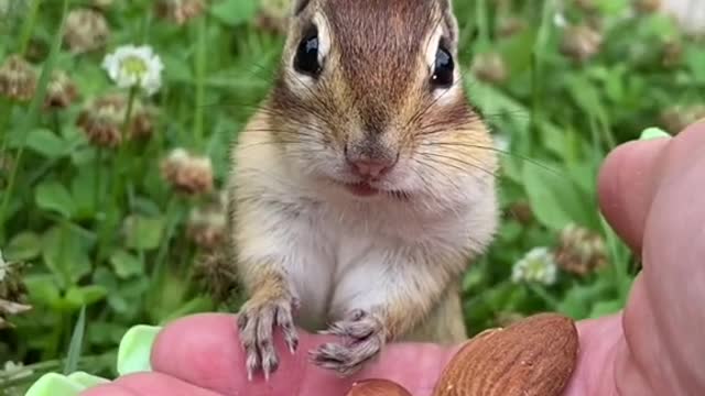 How cute๐๐