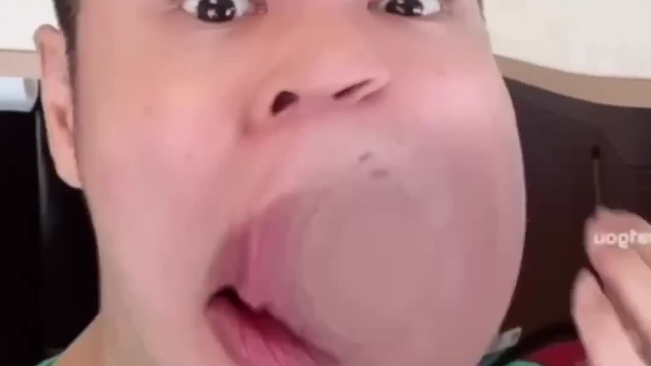 Funny video clip