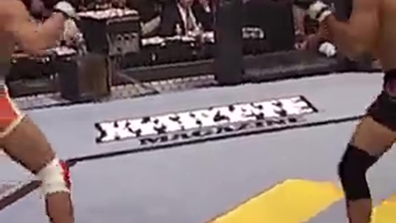 Best lightweight KOs in UFC history