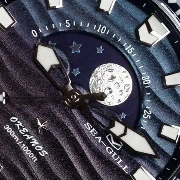 Reloj divisor Seagull de 43,5mm, reloj de pulsera mecánico