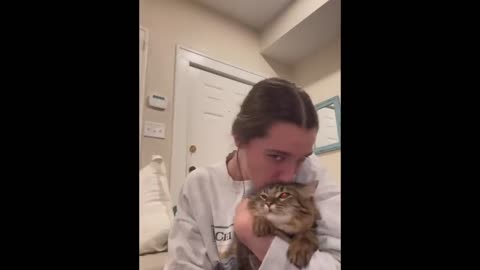 Funniest Animals Videos 6