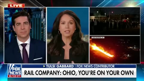 Tulsi Gabbard Biden's government doesn't care about this 'massive catastrophe'