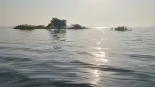 Water sound therapy