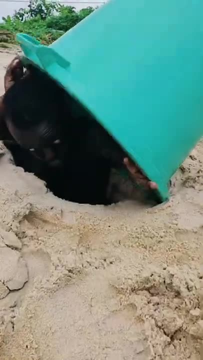 Sean Bridon funny video