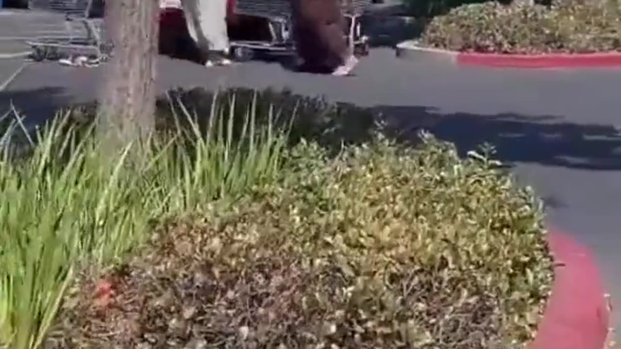 Some Thieves (One w/Unique, Interesting Shape) Make Fast Getaway As They Haul Their Loot To The Car