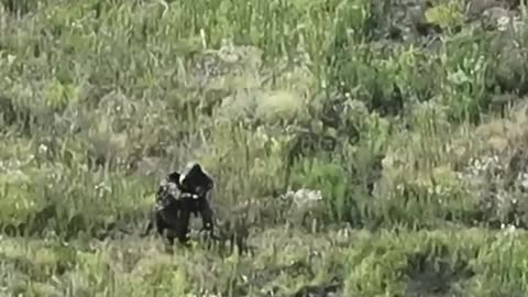 3-Legged Russian and Friends