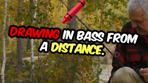 Ultimate Fall Lures for Bass Fishing!
