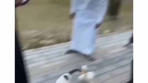 tag your best friend
