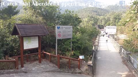 [捉魚]香港仔上／下水塘 [Catch fish] Aberdeen Upper/Lower Reservoirs, mhp2045, Feb 2022, #香港仔郊野公園 #香港仔上下水塘 #捉魚