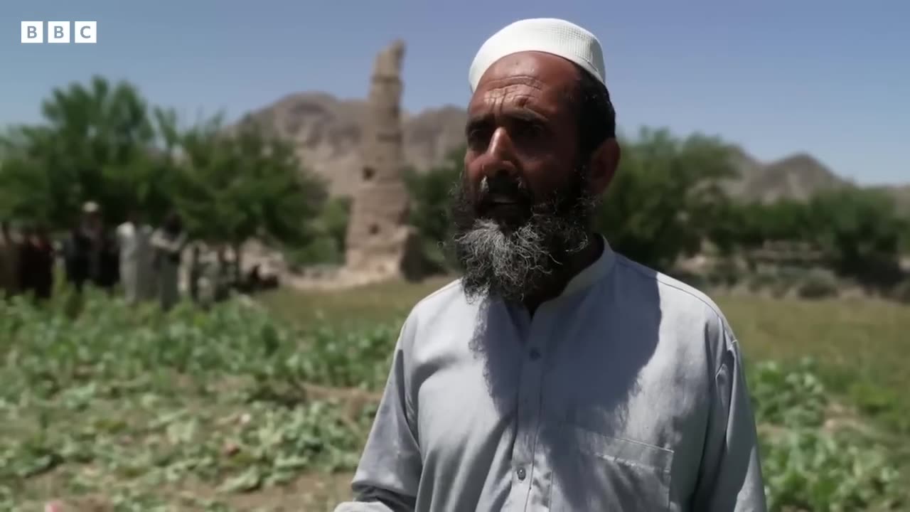 Inside the Taliban's war on drugs - BBC News