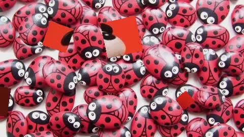 outstanding and very unique ladybug stone painting ideas