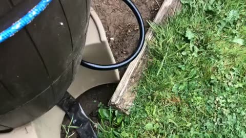 Saturday Gardening