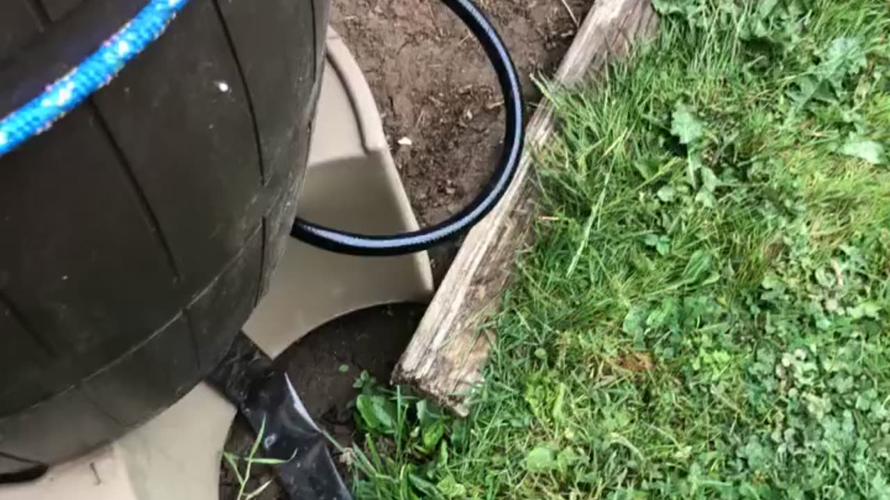 Saturday Gardening