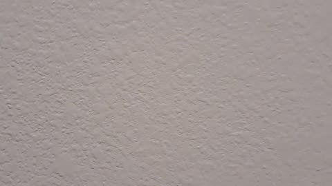 Foundation