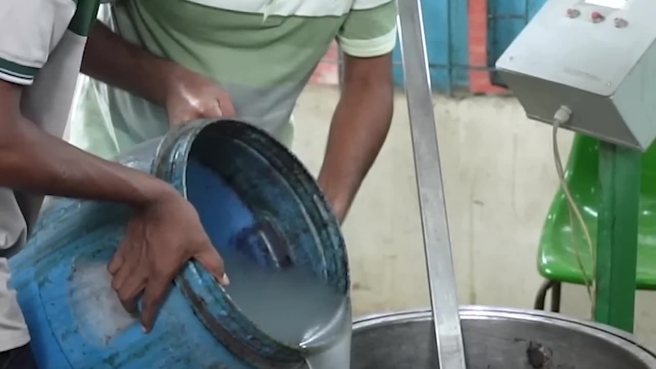 Can "Golden Fiber" From Swamp Reeds Replace Plastic? | World Wide Waste | Business Insider