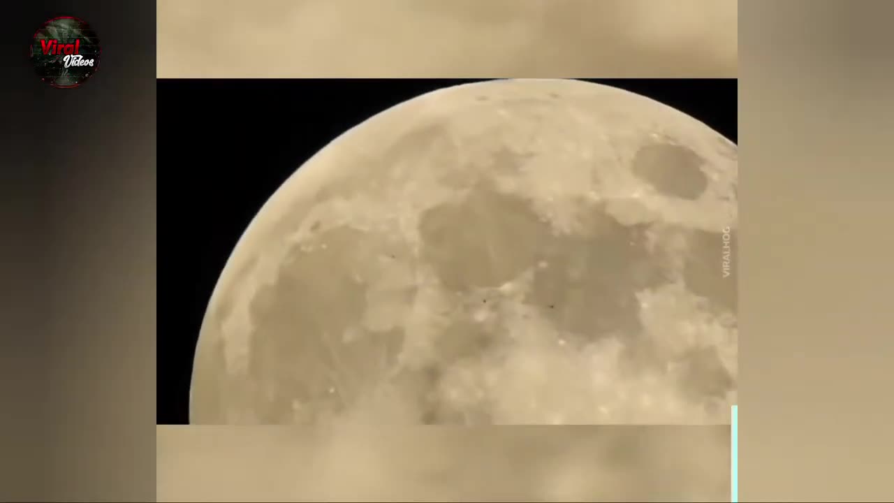 Strange things caught on camera...