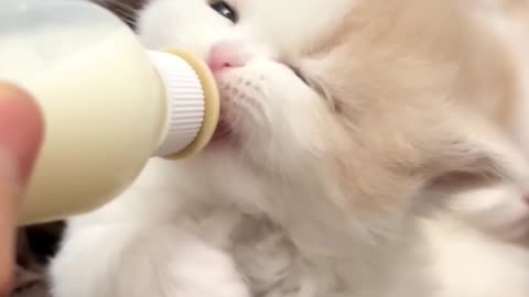 Mom I'm Hungry 😭