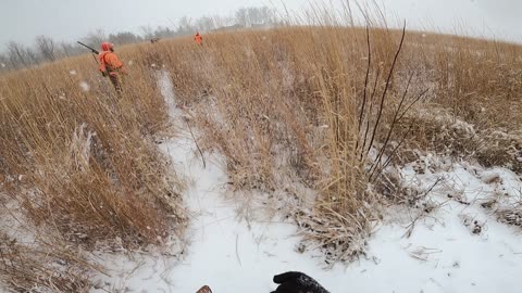 Easy retrieve