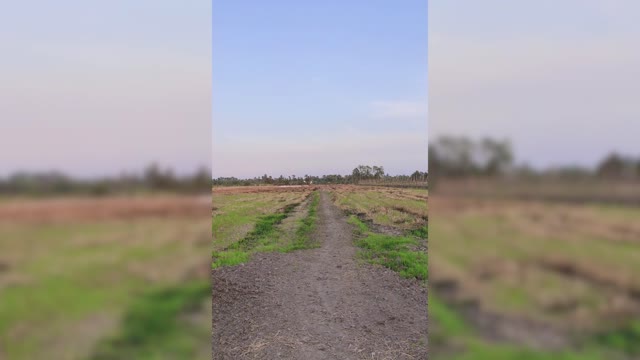 [vietnam contryside] fields in vietnam countryside