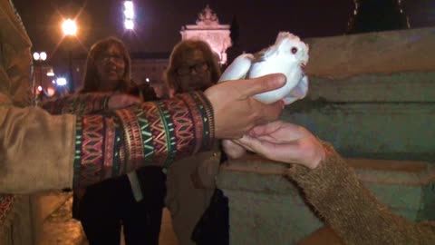 LOVE Lisbon Portugal 4 Doves Lisbon Portugal 2015 .