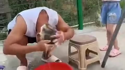 Video vuufbiugt songee jongee videos