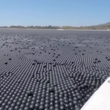 #video #facts #knowledge #viral #see