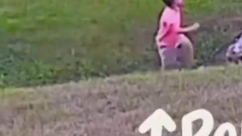 Heroic Dog Saves a child from attack.