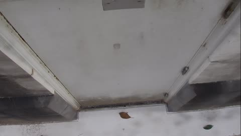 0921USCG00HT18Exterior_2021-01-06_11h00min01s730ms.mp4