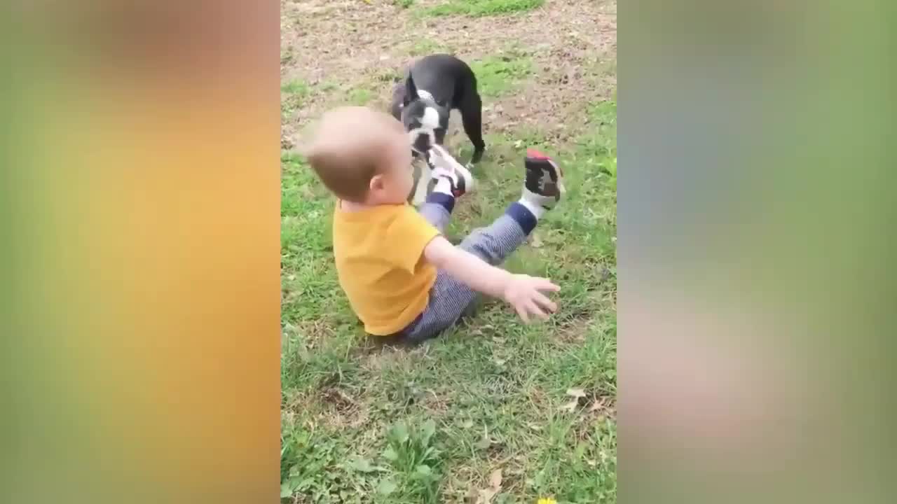 Dog Dragging Baby