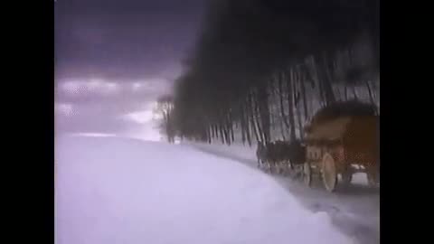 Budweiser Clydesdales #Christmas commercial from the #80s