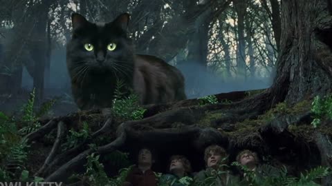 Lord of the Rings + OwlKitty (Behind the Scenes)