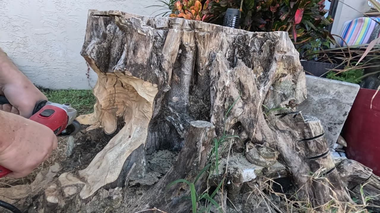 Watch me work therapy Stump carving Part 1